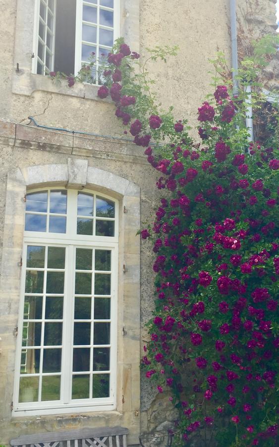 הוילה Condé-sur-Seulles L'Orangerie Du Grand Jardin מראה חיצוני תמונה